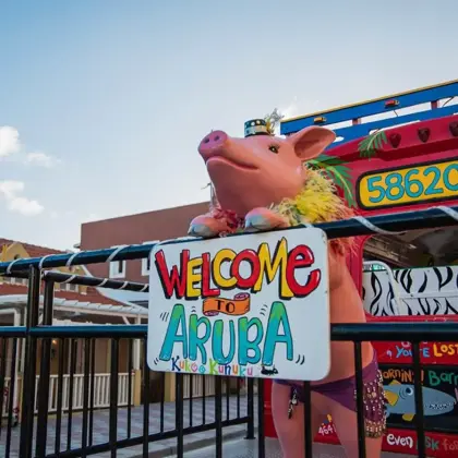 352509278_646852410820660_2939289636888416086_n-1024x1024